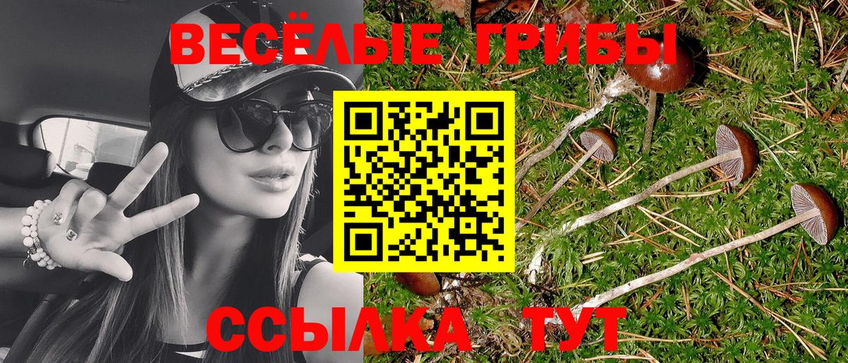 Псилоцибиновые грибы мухоморы Благодарный