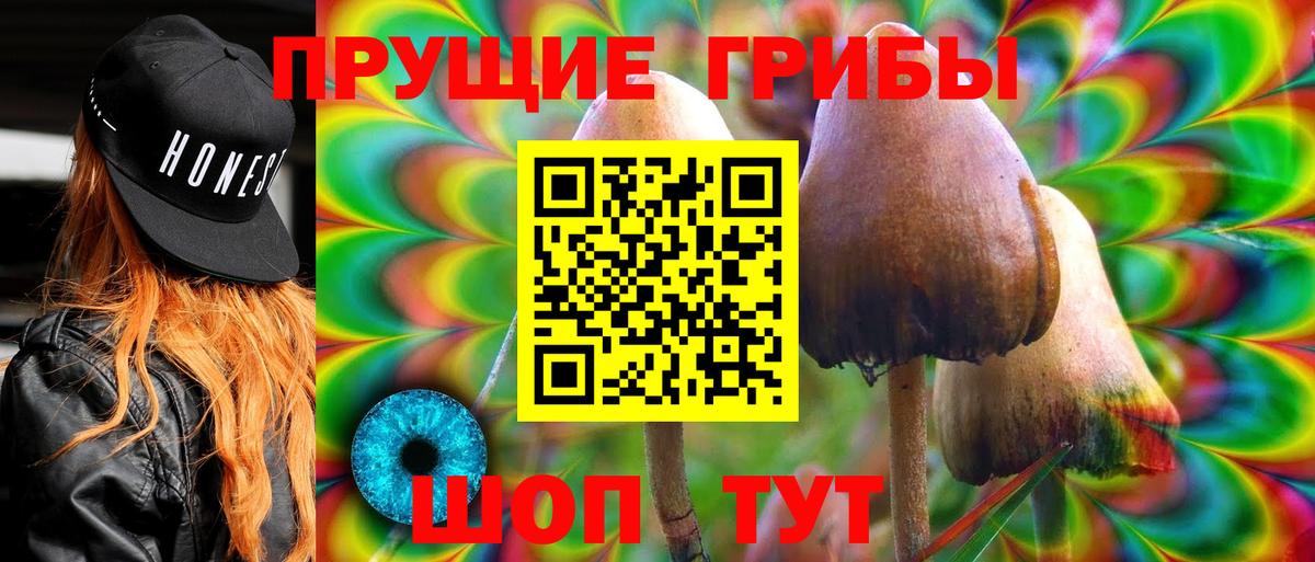 Галлюциногенные грибы Magic Shrooms  Вход с VPN  Благодарный 